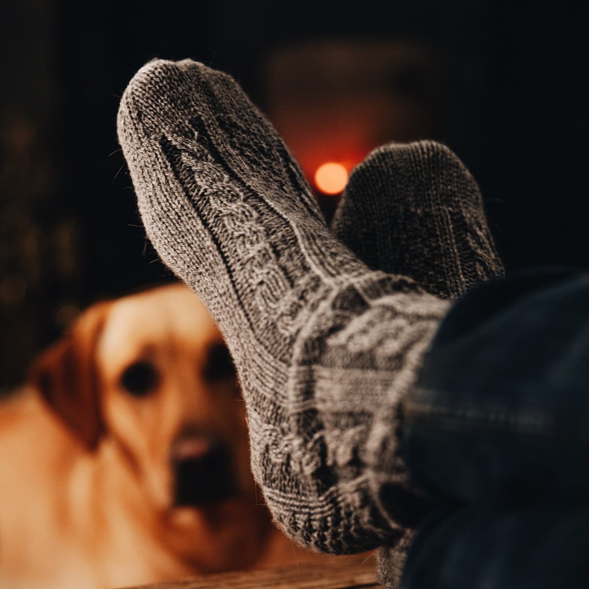 A pair of Kinalba Cashmere Socks being worn in front of a dog